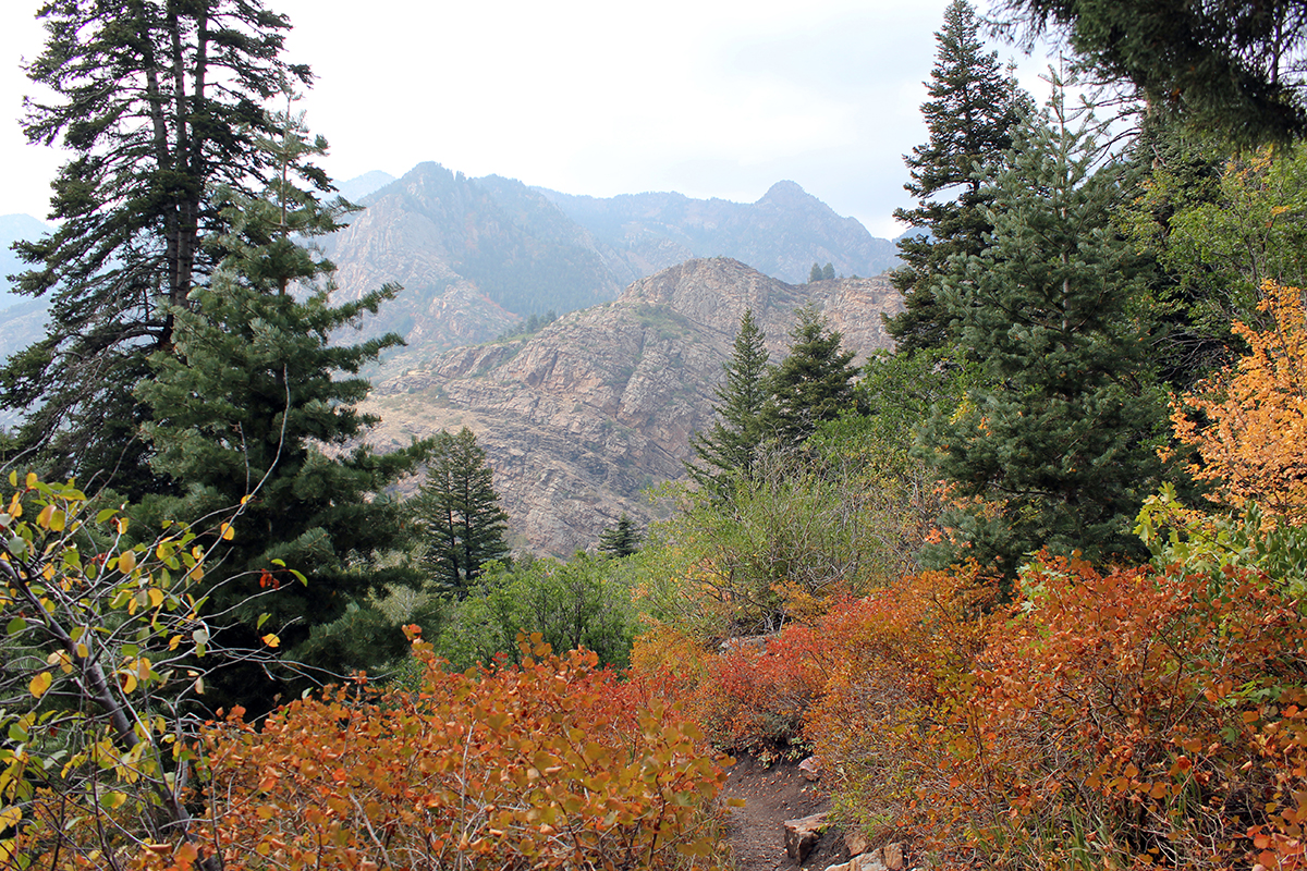 Autumn in Twin Peaks National Wilderness on Lake Blanche Trail in Utah