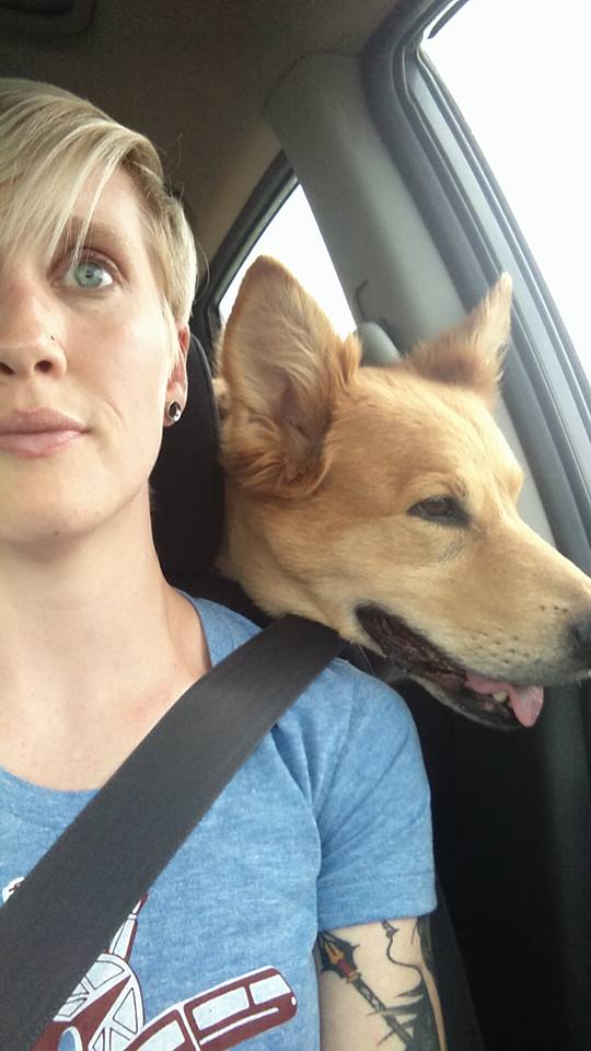 Otto Dog in Car Window on Road Trip