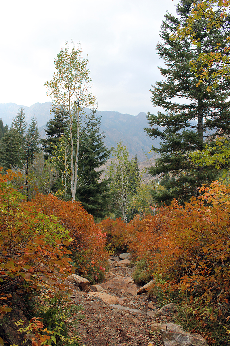 Fall Hiking Path at Lake Blanche Trail in Utah