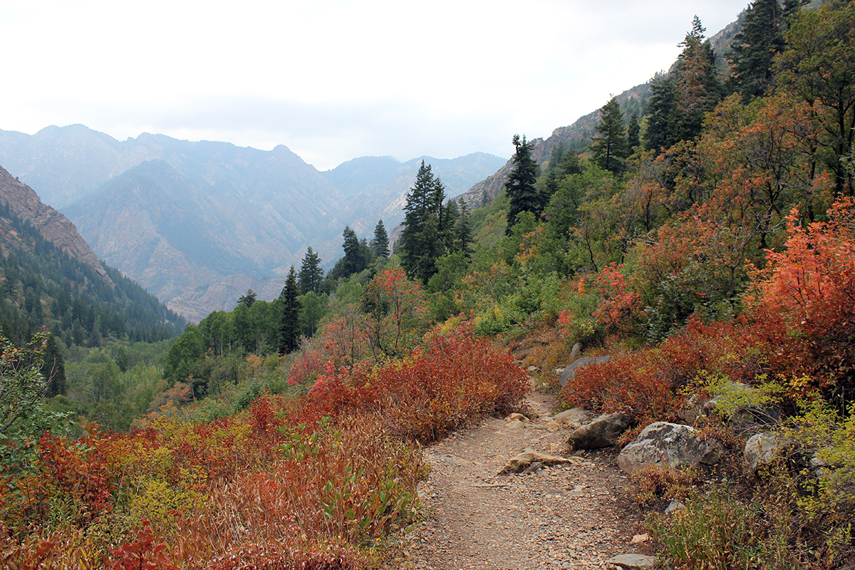 Lake Blanche Hiking Trail in Utah