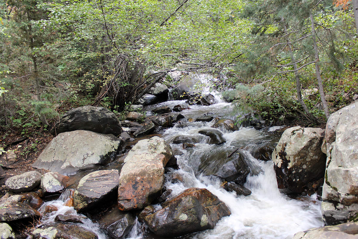 Water on Rocks at Lake Blanche Trail in Utah