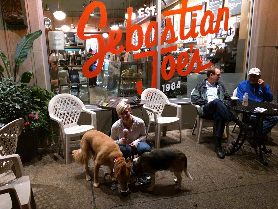 Sebastian Joe's Ice Cream in Minneapolis with Dogs on Patio