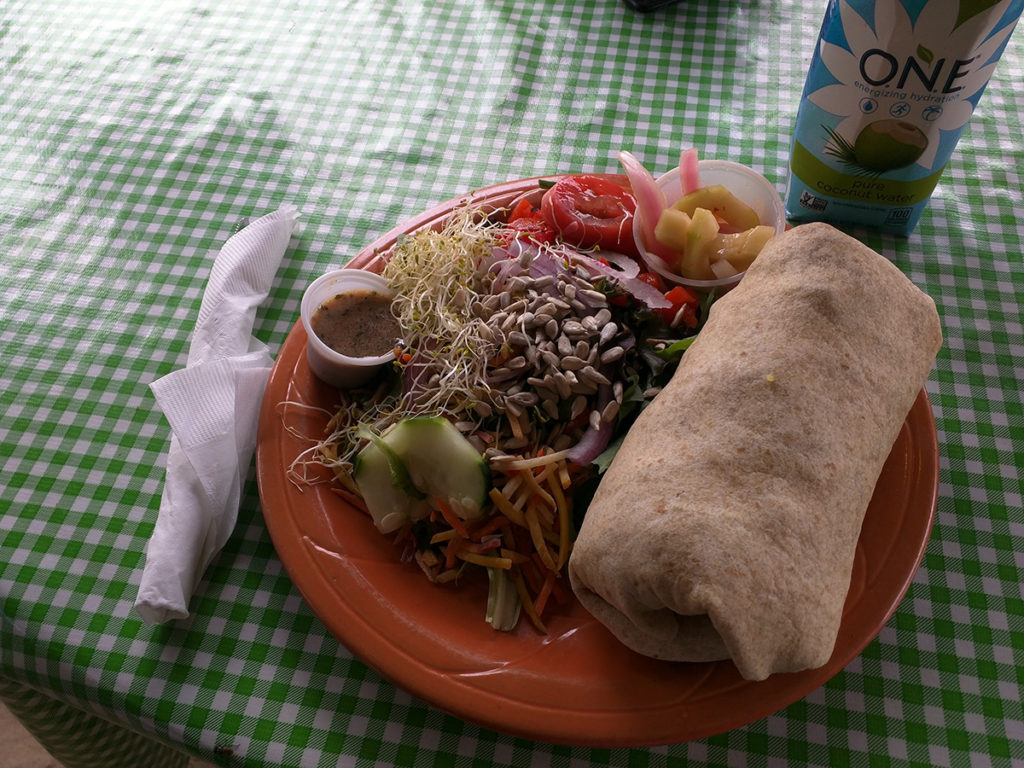 Curry Tofu Rice Wrap from Eklekticafe in Moab, Utah