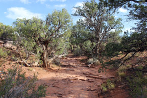 Hiking Trail at Dead Horse Point State Park in Utah