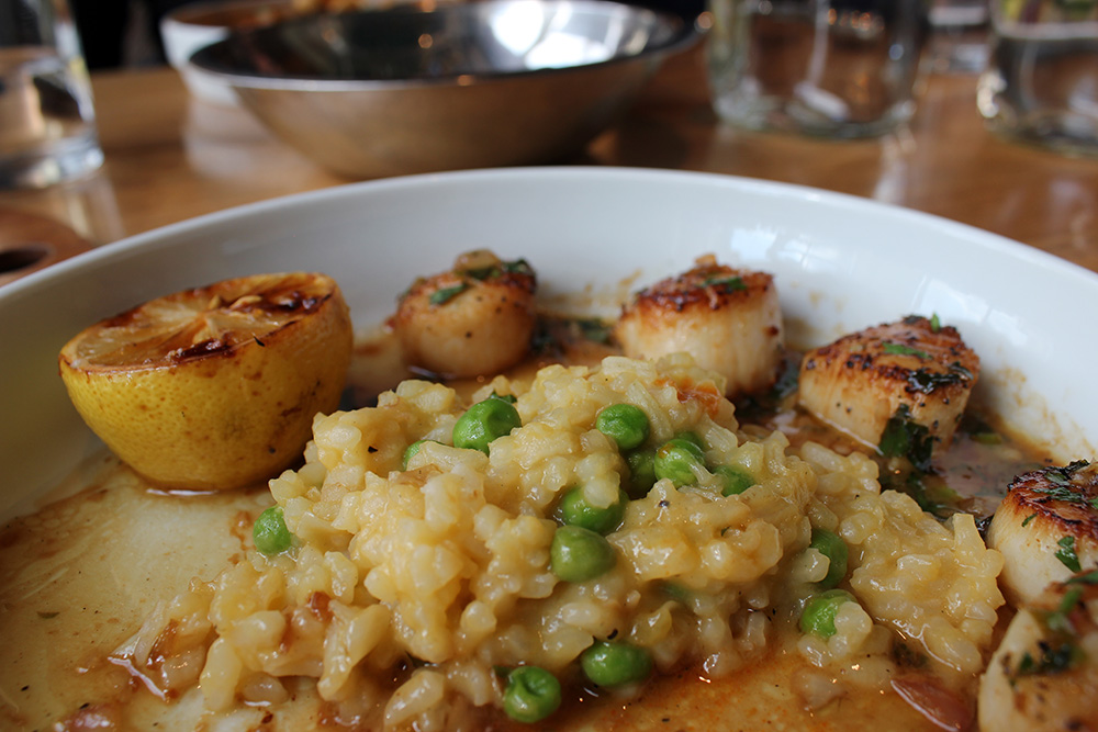 Scallop Butternut Risotto at Farmers Fishers Bakers Restaurant in Georgetown