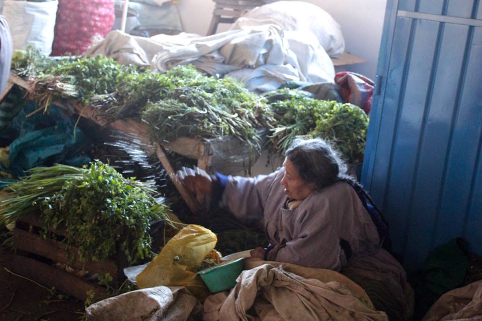 Woman Watering Greens in Cusco, Peru Market