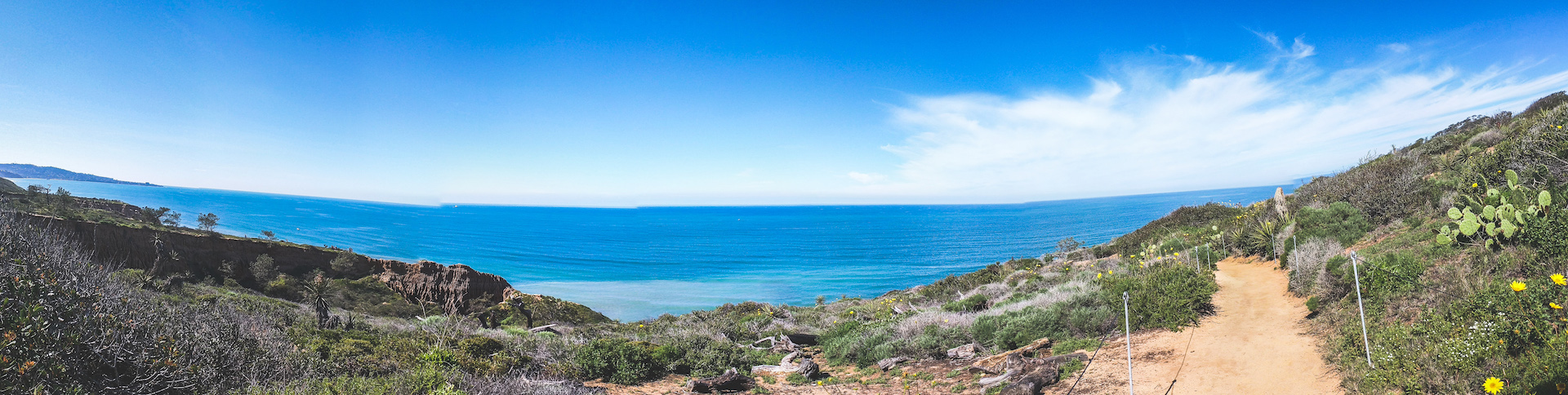 Panoramic Photo of Torrey Pines in San Diego