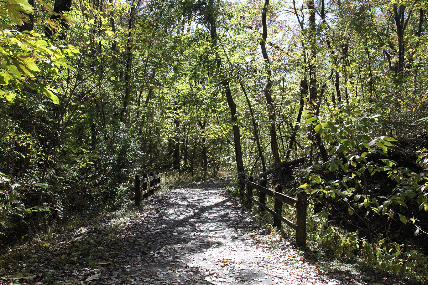 Hiking Trail at Weston Bend State Park, Missouri