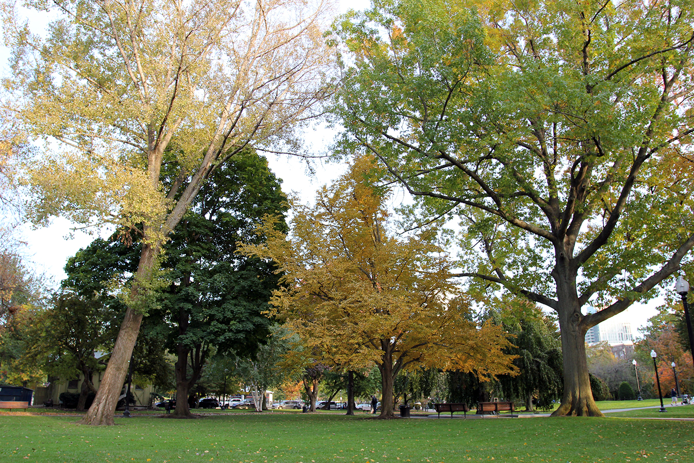 Boston Common Public Park