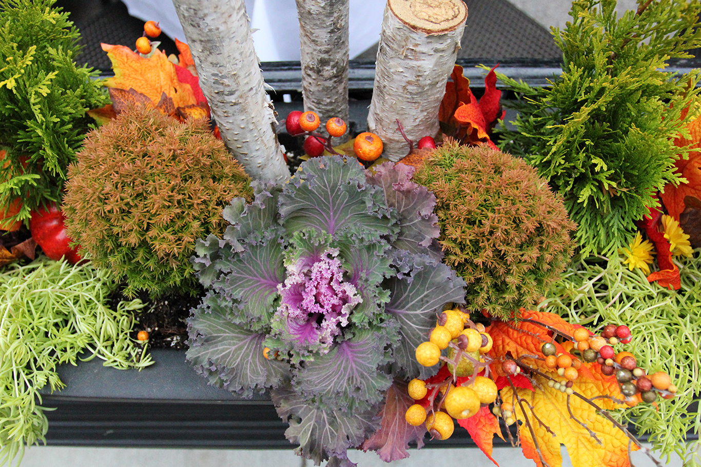 Decorative Fall Planter in Front of Atlantic Fish in Boston