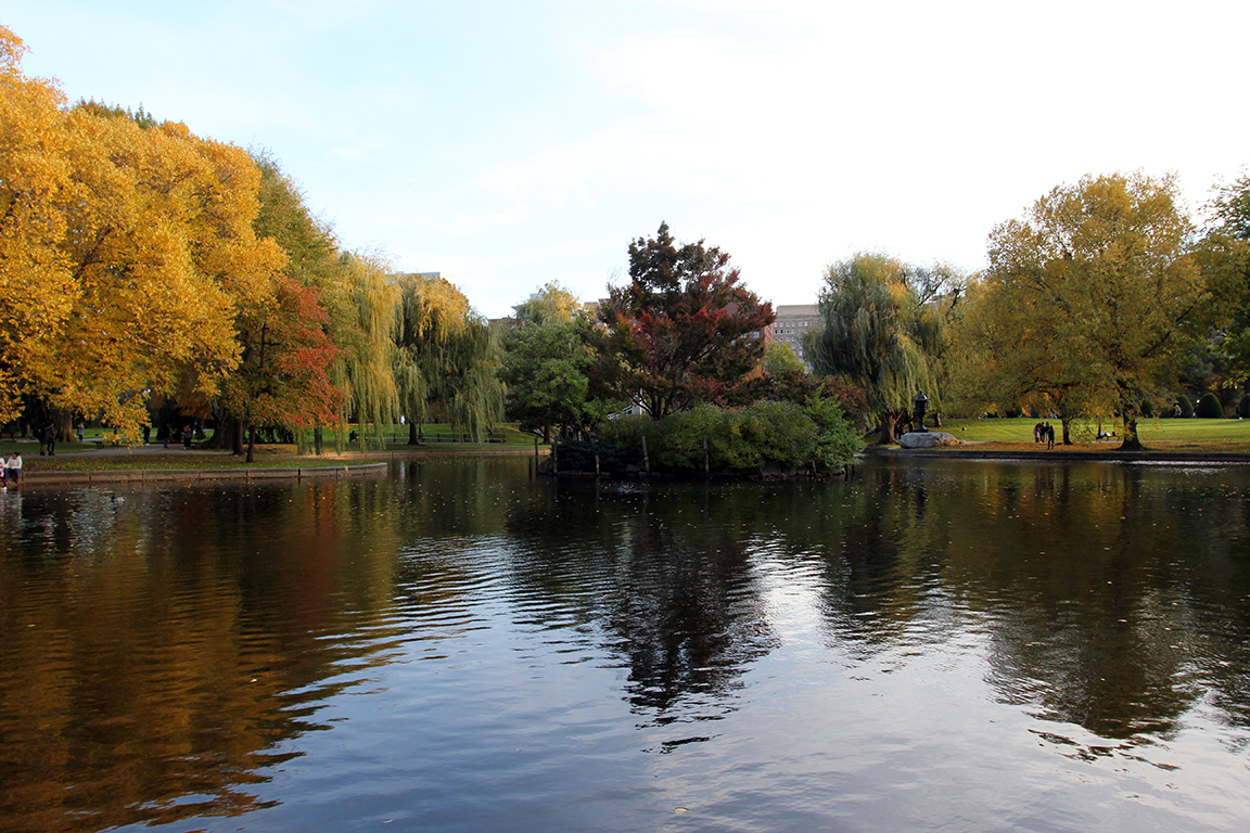 Fall Foliage on the Pond at Boston Common & Public Garden