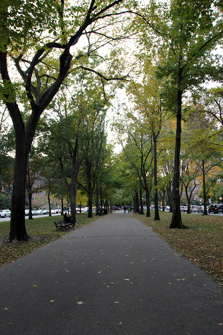 Fall Leaves on Commonwealth Avenue Mall in Boston