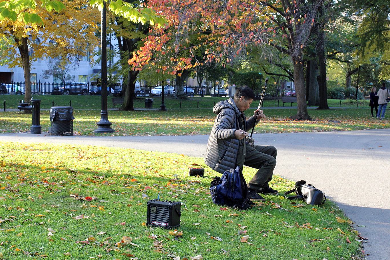 Live Music in Boston Common