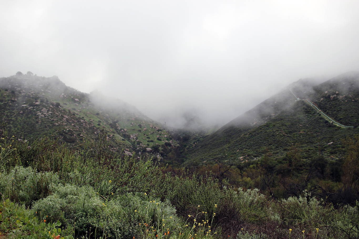 Unseasonably cool, wet mist on the Blue Sky Reserve hike to Ramona Dam in San Diego