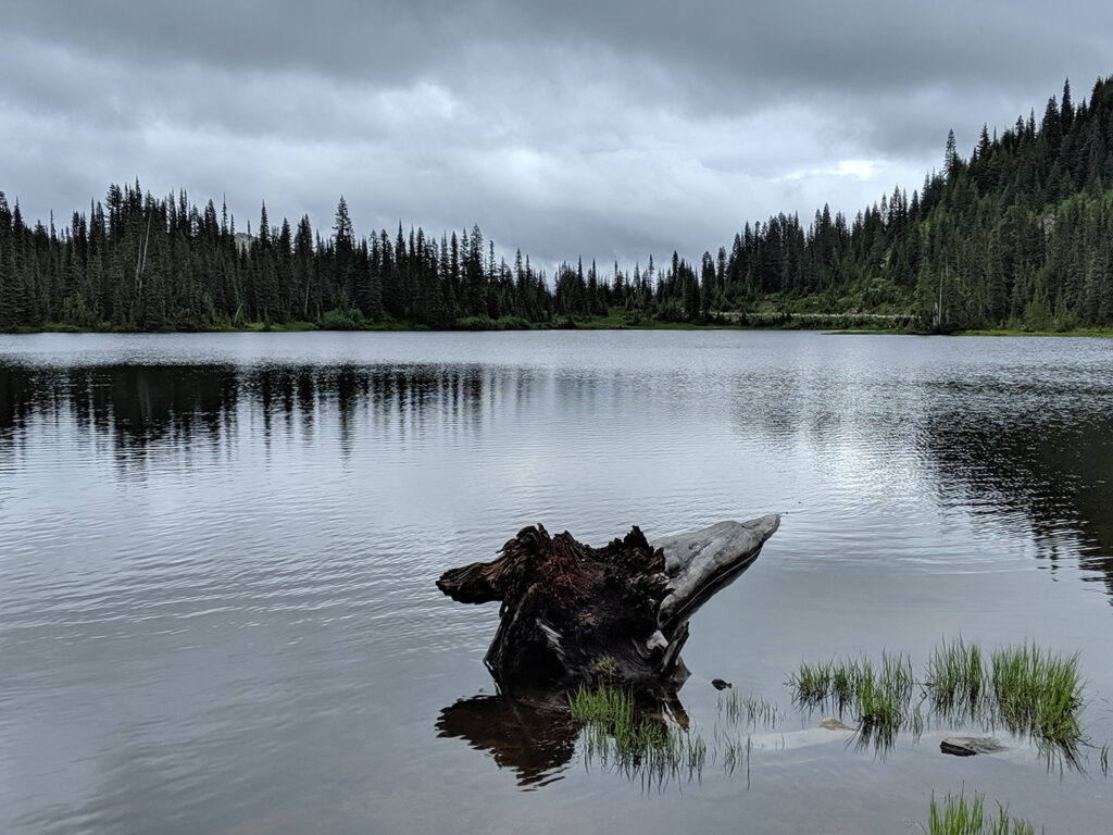 Log in Lake on High Lakes Trail Loop at Mount Rainier National Park