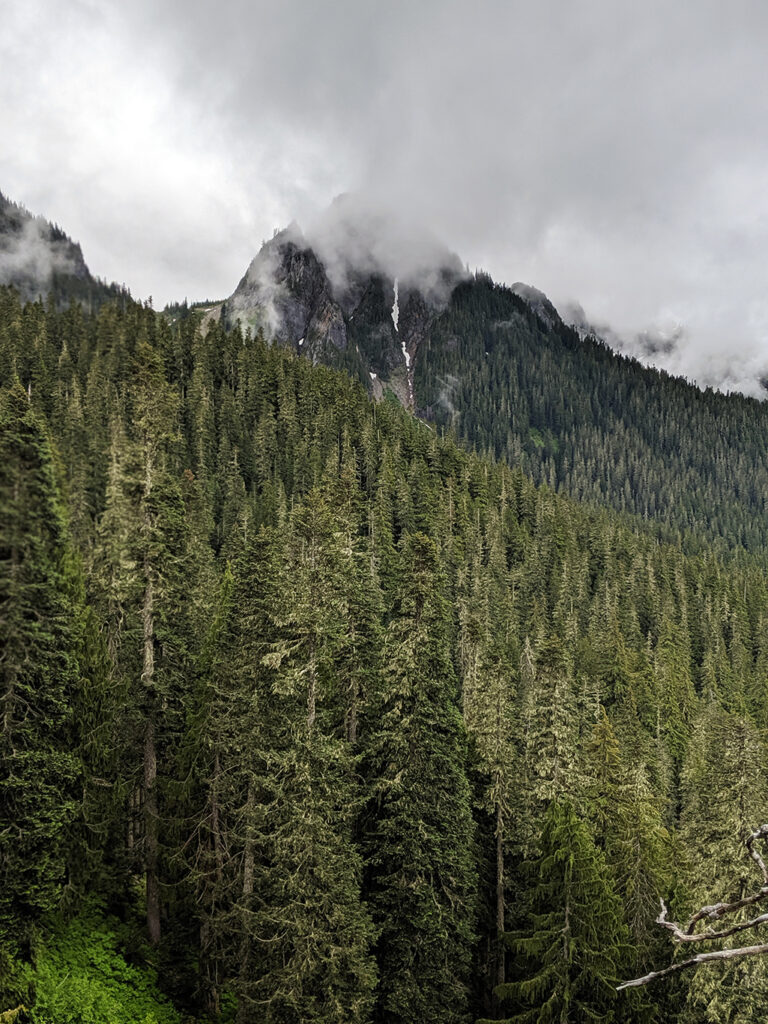 Foggy Mountain Overlook from Mount Rainier