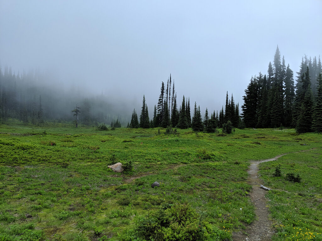 Foggy Meadow in Paradise Area of Mount Rainier National Park