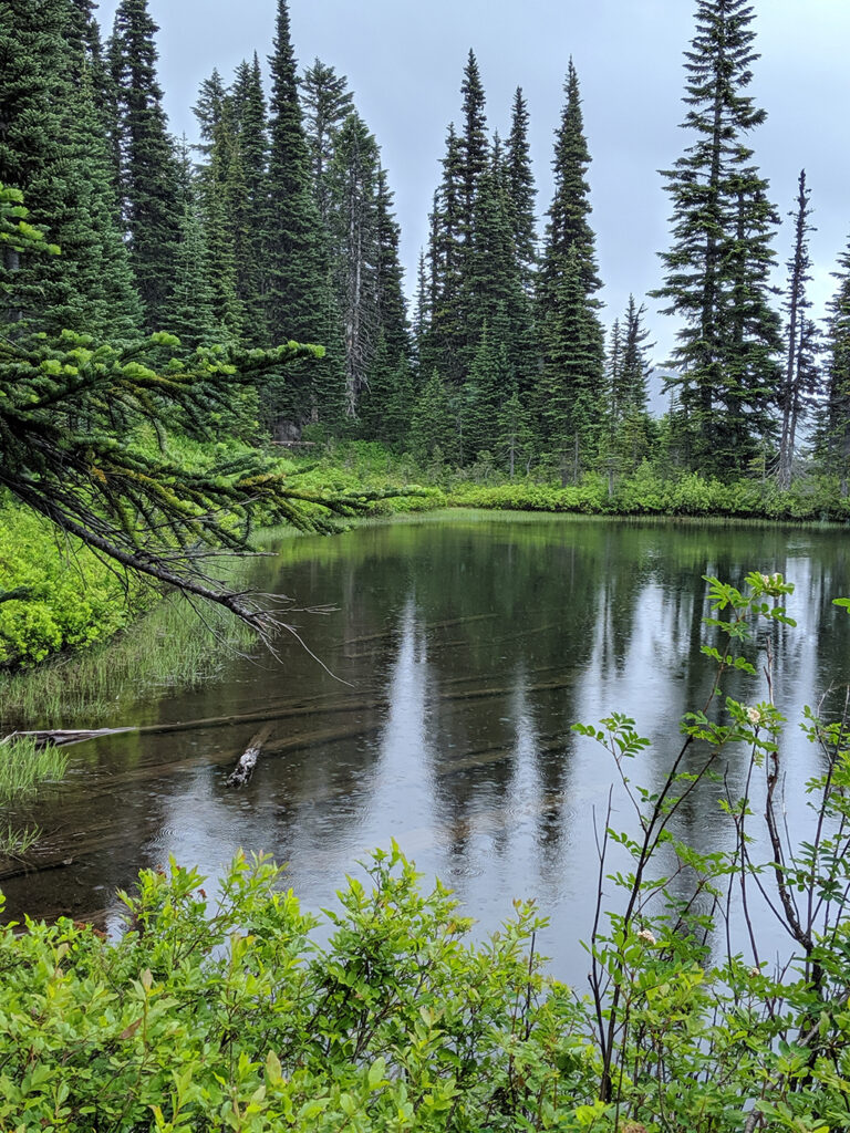 Drizzle in Alpine Lake at Mount Rainier National Park
