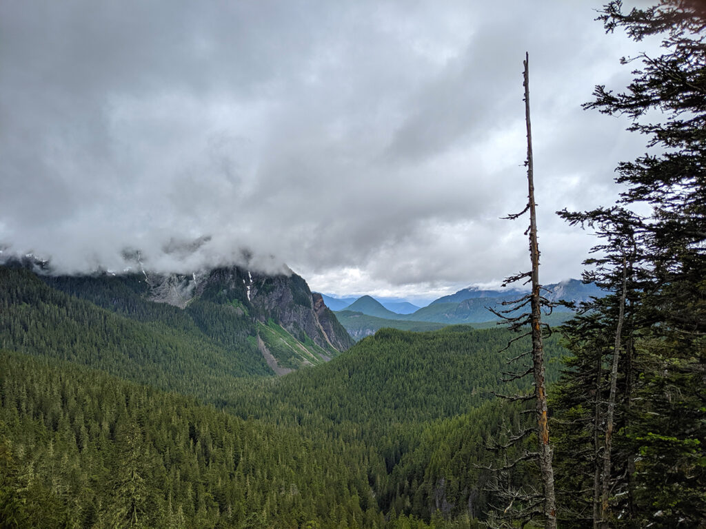 Longmire Overlook in Mount Rainier National Park