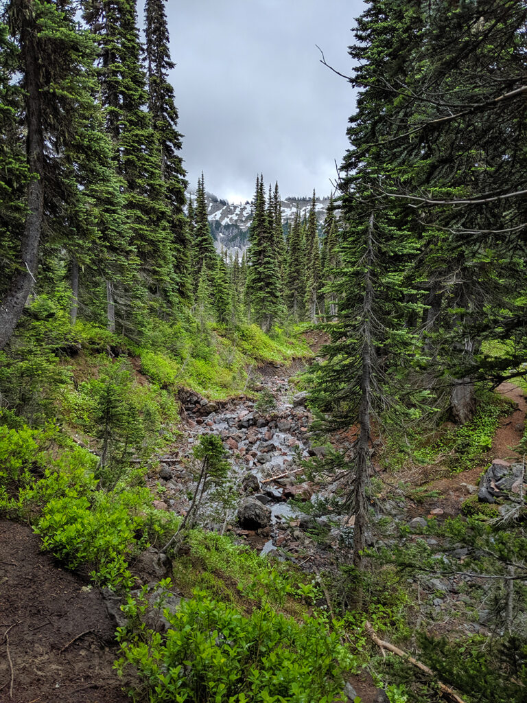 Trees, Glacial Creek & Hiking Trail at Mount Rainier National Park