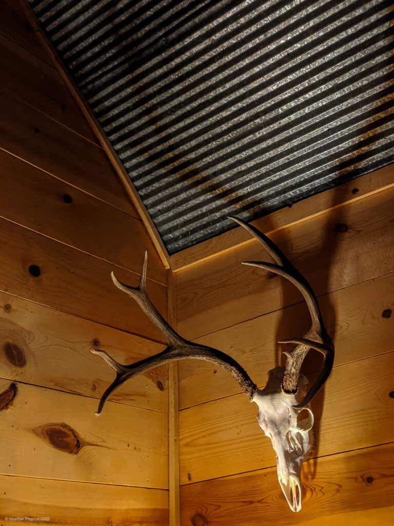 Mounted Deer Skull at Cabin in Stratton, Colorado