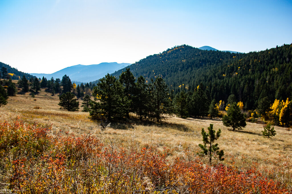 Forgotten Valley on Buffalo Trail at Golden Gate Canyon State Park