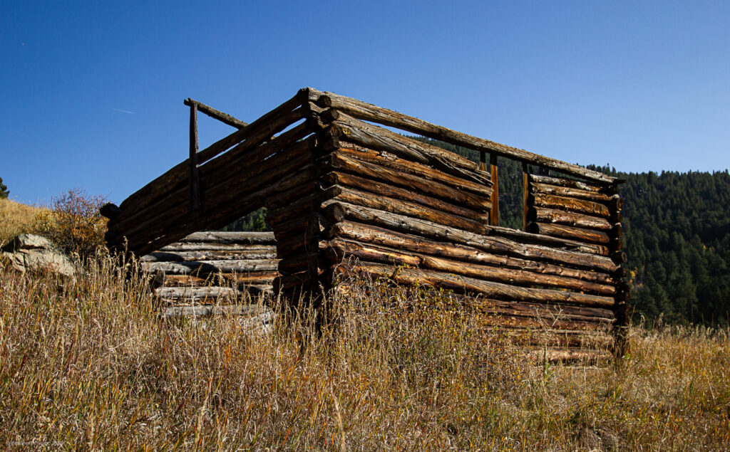 Swedish-American Tallman Horse Stable at Golden Gate Canyon State Park in Colorado