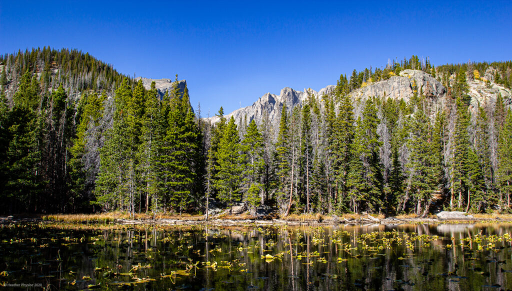 Nymph Lake at Rocky Mountain National Park in Colorado