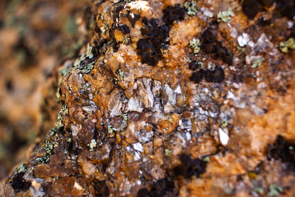 Metamorphic rock