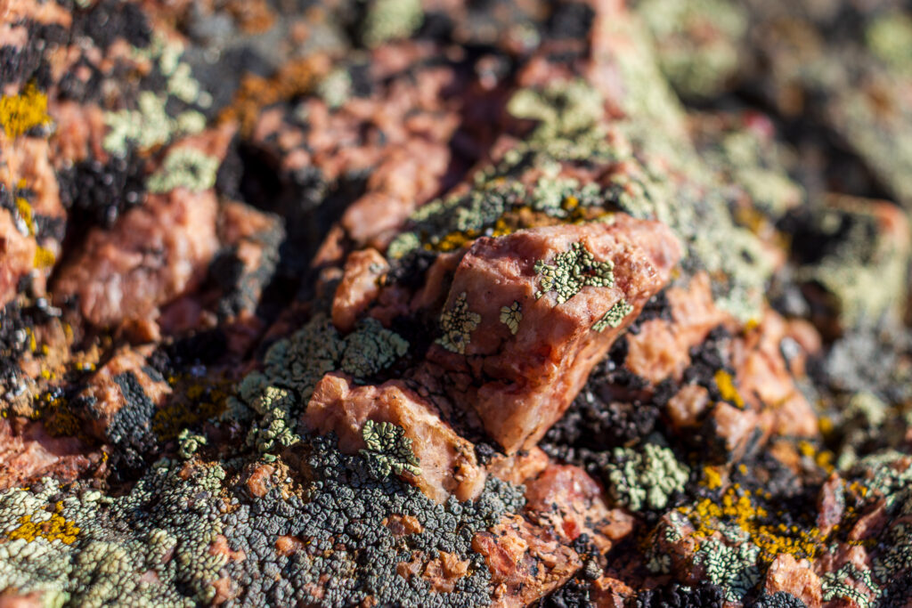 Pink granite