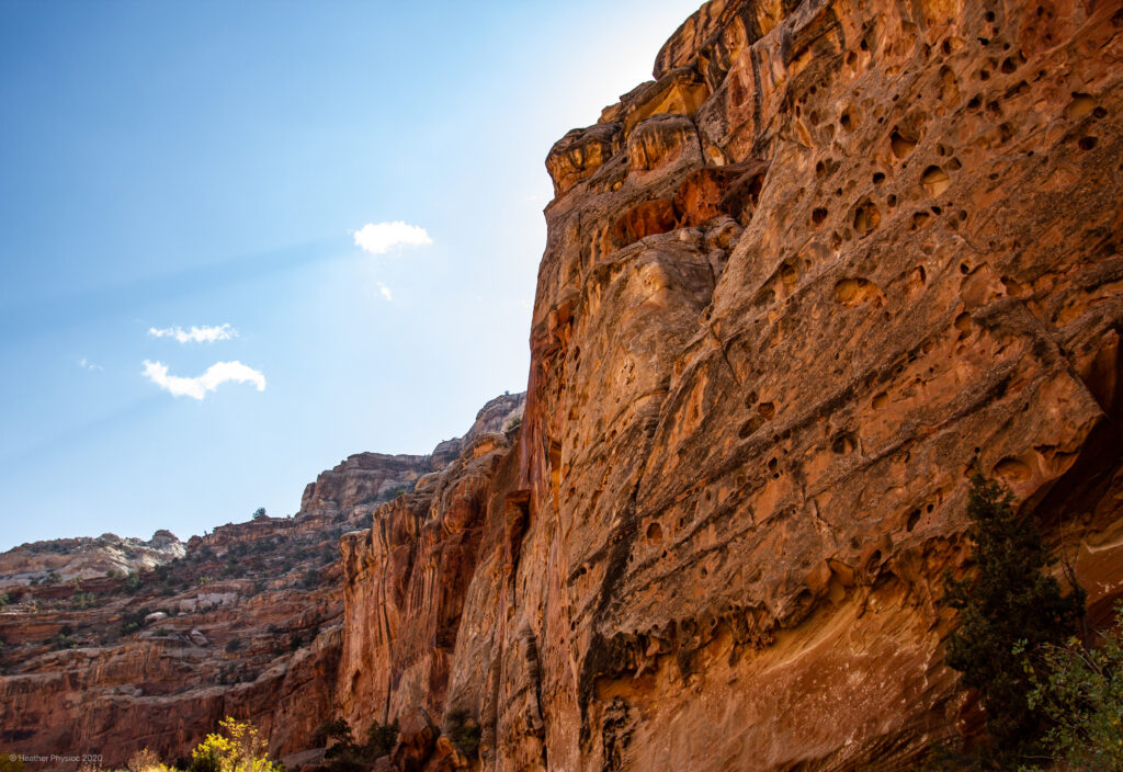 Sunlit Canyon Walls & Ta