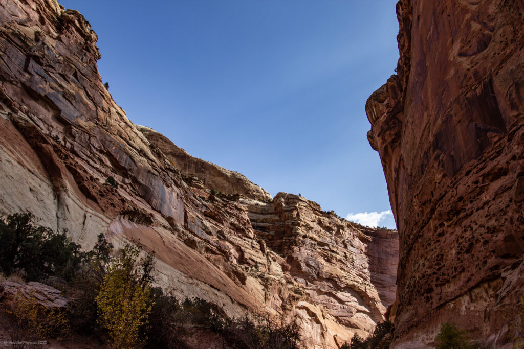 Curve of Canyon Wall at Capitol Reef National Park in Utah