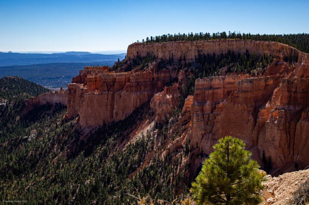 Curved Fins of Canyon Wall at Bryce Canyon National Park in Utah