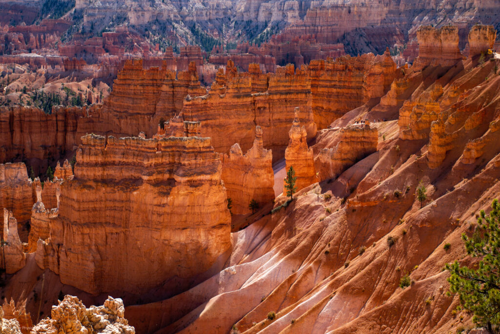 Sedimentary Canyon Fins & Hoodoos at Bryce Canyon National Park