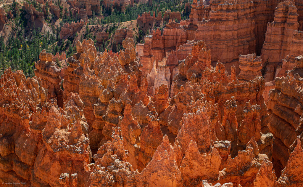 Eroding Canyon Walls Becoming Hoodoos at Bryce Canyon National Park