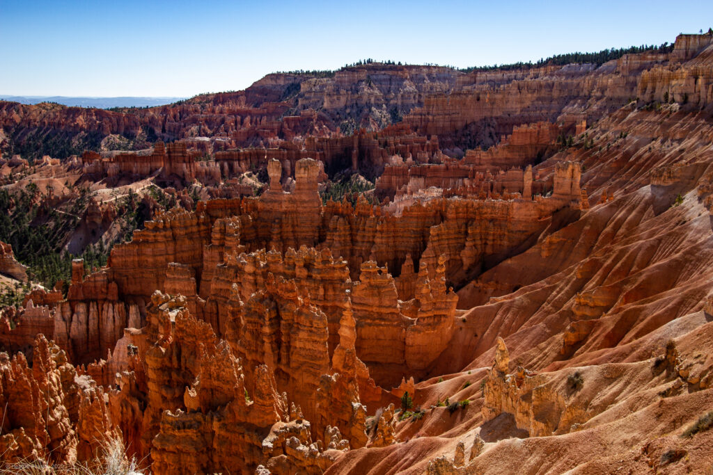 Erosion of Limestone & Clay at Bryce Canyon National Park