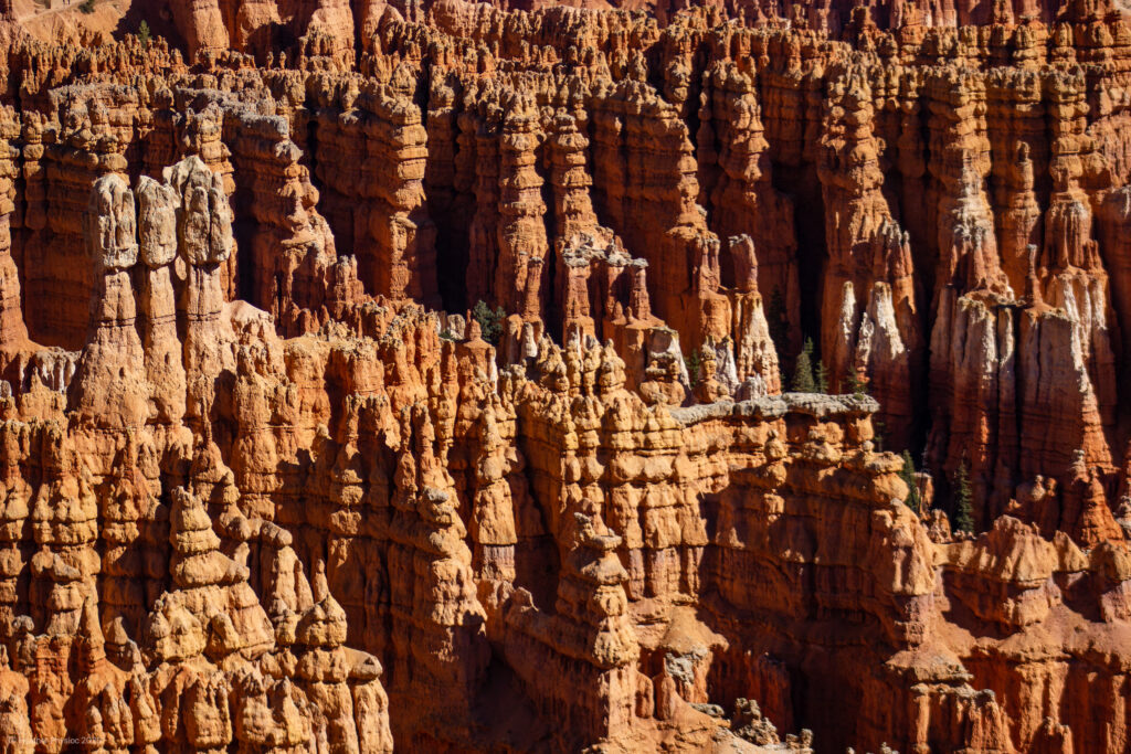 Hoodoo Spire Rock Formations at Bryce Canyon National Park