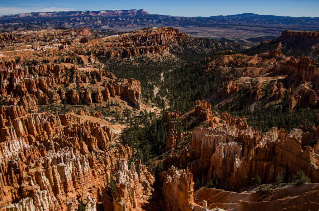 View from Piracy Point in Bryce Canyon National Park, Utah