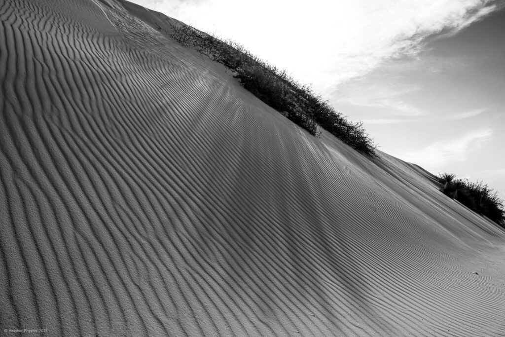 Black & White Photo of Long Shadow Across Wind Ridges in Sand Dunes at White Sands National Park in New Mexico