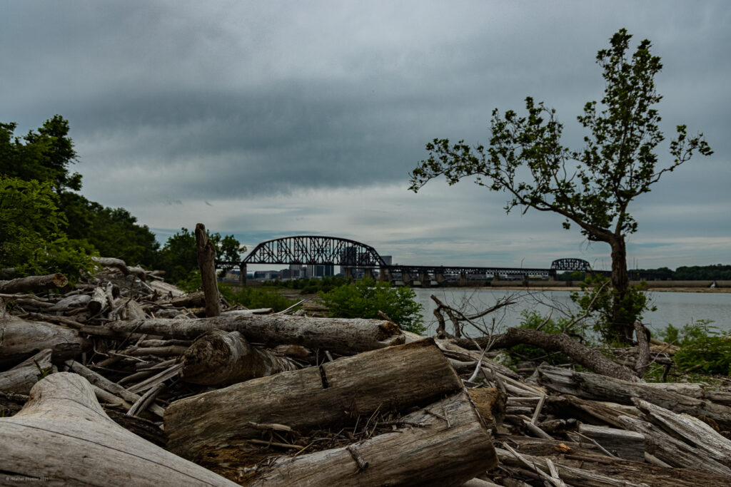 Falls of the Ohio State Park in Clarksville, Indiana