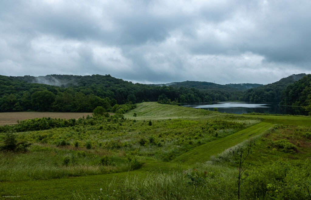 Foggy Green Hills & Lake at Knobstone Trailheads in Indiana