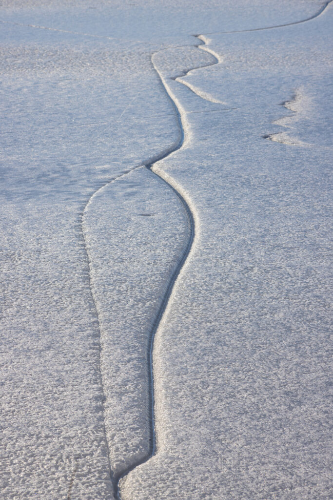 Curving Cracks in Ice on Frozen Marsh at Loess Bluffs National Wildlife Refuge