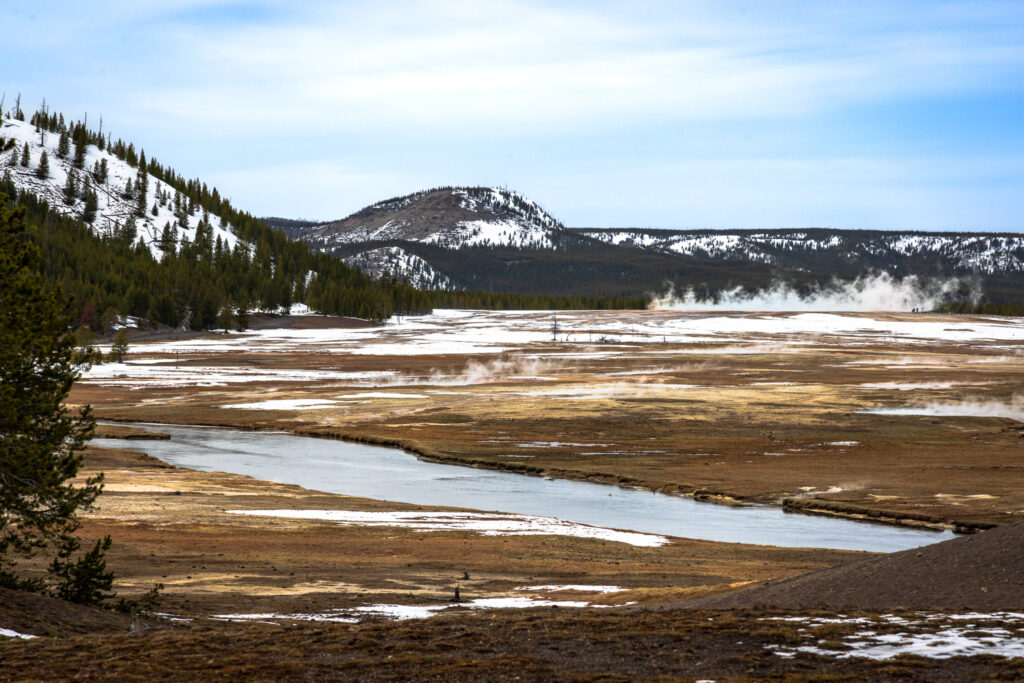 Fumerole Vents Steaming on a Cool April Day at Yellowstone National Park