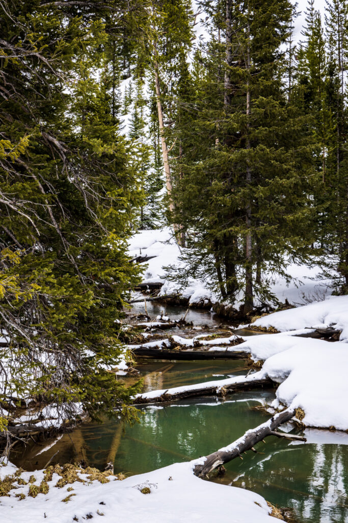 Snowy Green River in Yellowstone National Park