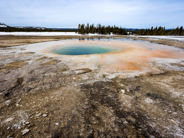 1% of 1% of Yellowstone National Park