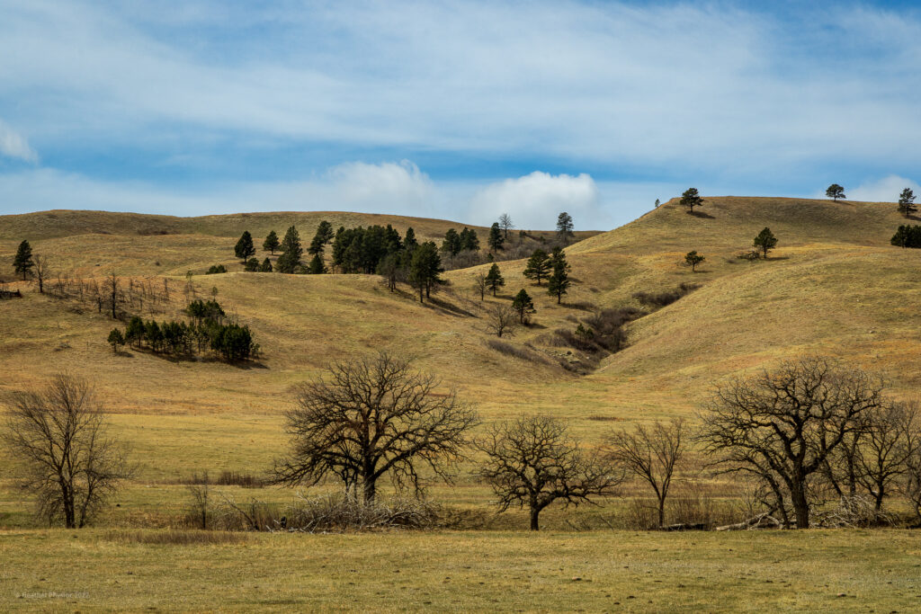 Grassy Hills at Custer State Park, SD