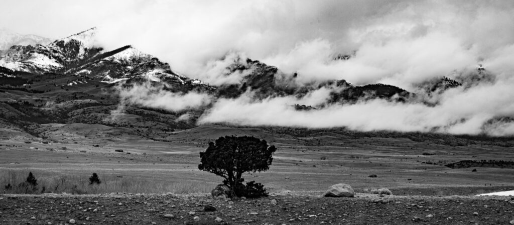 Black & White Landscape Photo of Smoky-Looking Clouds in the Gallatin Mountains Behind a Lone Tree on the Ridge in Paradise Valley, Montana