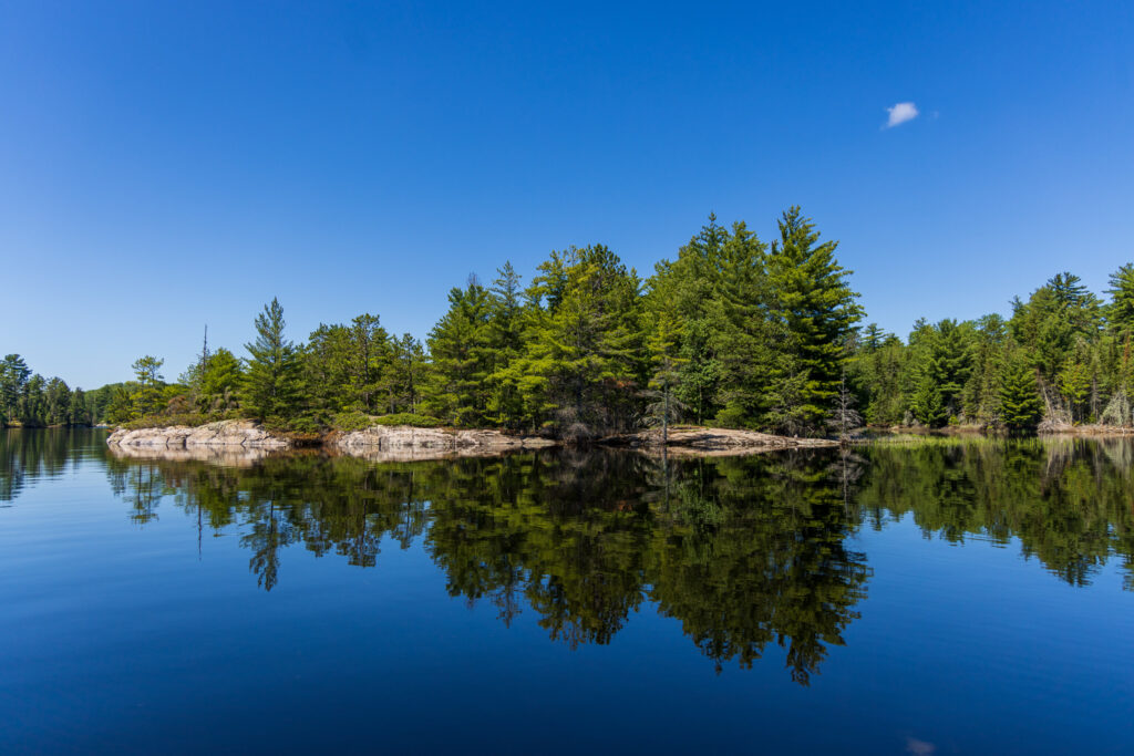 Island of Trees & Cloud Reflected on Rainy Lake in Voyageurs National Park, Minnesota