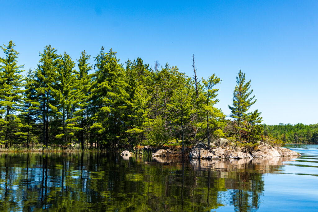 Wooded Islands at Voyageurs National Park