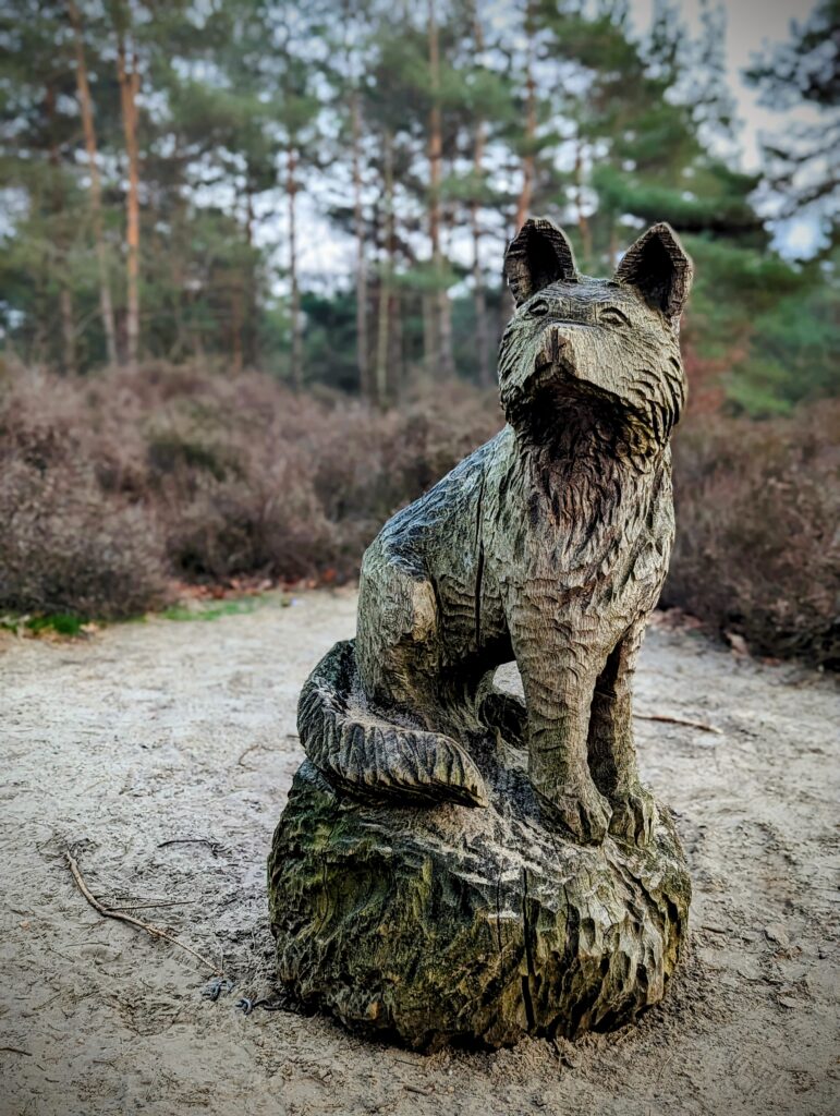 Hand-carved broze wolf statue in the paths of the Veluwe in Gelderland, Netherlands